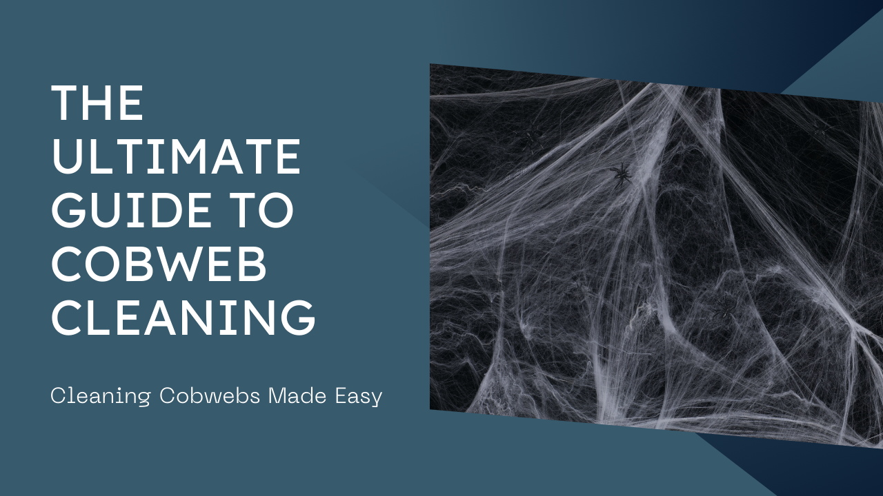 Cobwebs made of spider web vs cobwebs: cobwebbing cleaning Cobwebs made of spider web vs cobwebs: cobwebbing cleaning