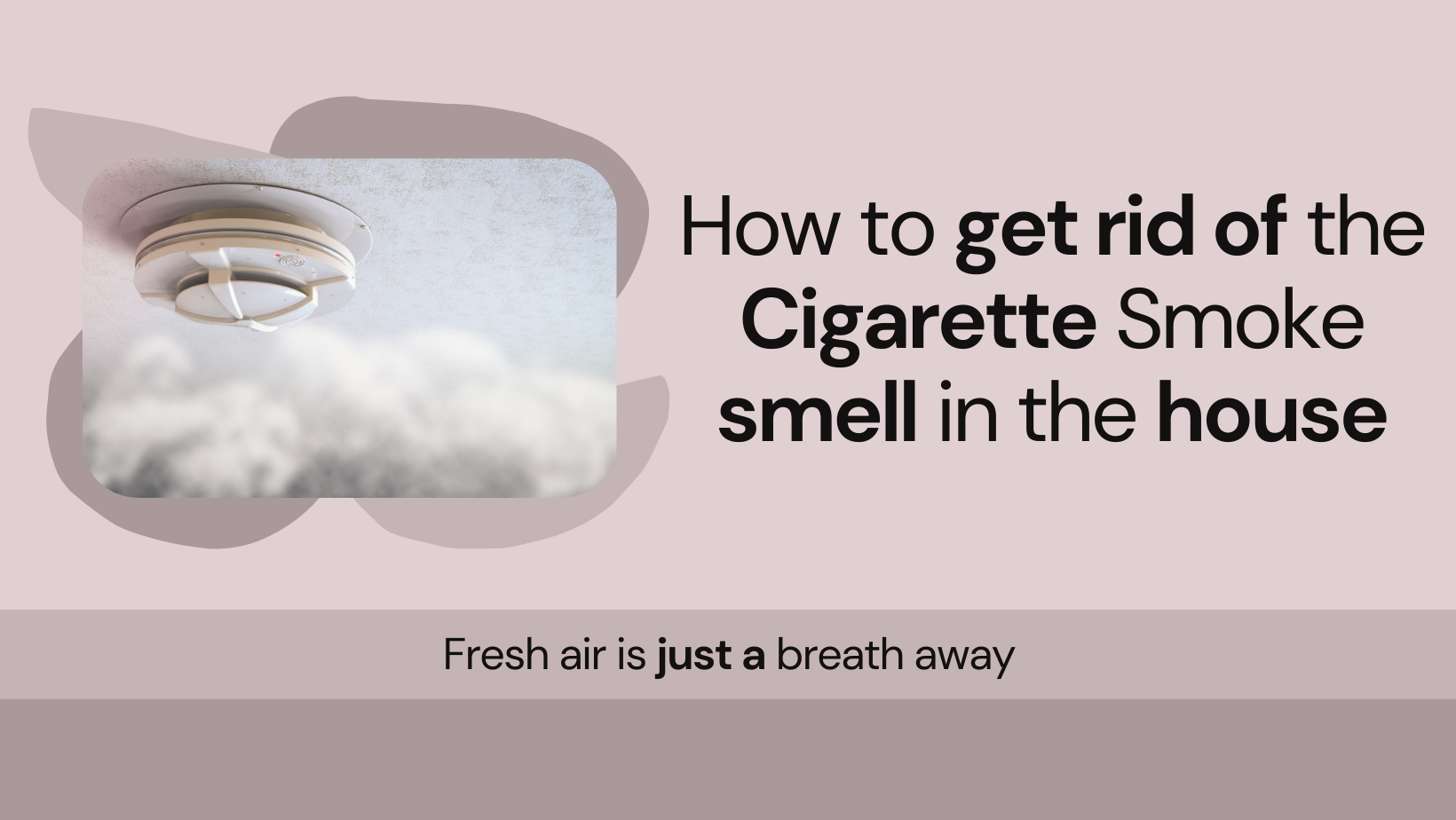 Getting rid of cigarette smoke smell in out the house Getting rid of cigarette smoke smell in out the house
