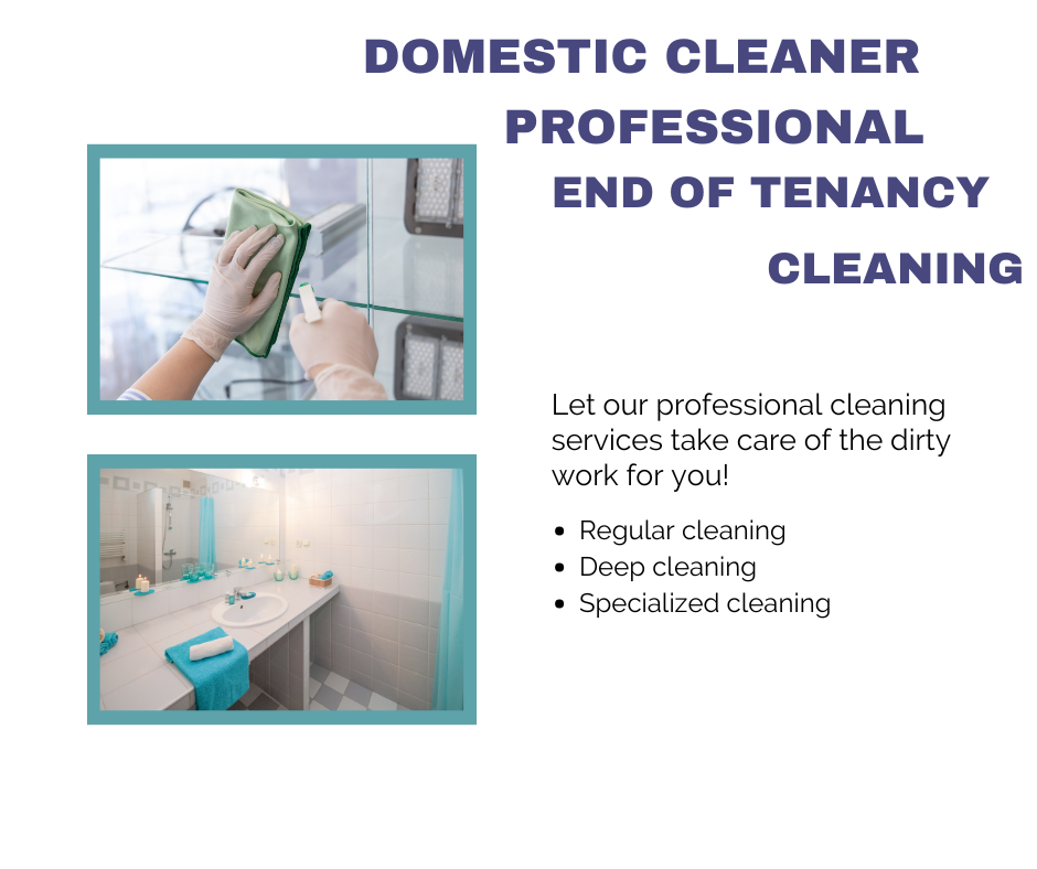 Domestic profesional end of tenancy house cleaning in the of city of London